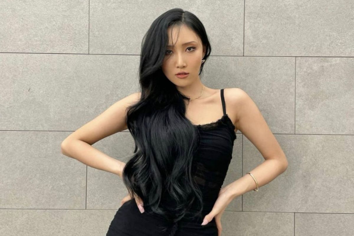 Ảnh minh họa Hwasa