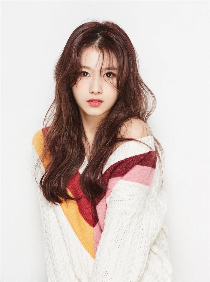 Ảnh minh họa Sana