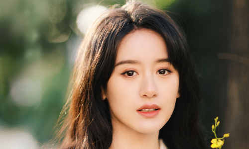 Ảnh minh họa Viên Băng Nghiên