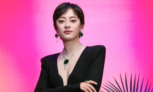 Ảnh minh họa Tôn Lệ