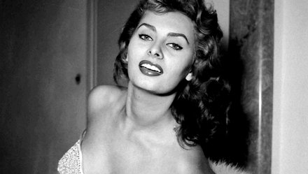 Ảnh minh họa Sophia Loren