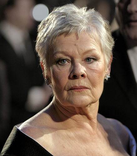 Ảnh minh họa Judi Dench